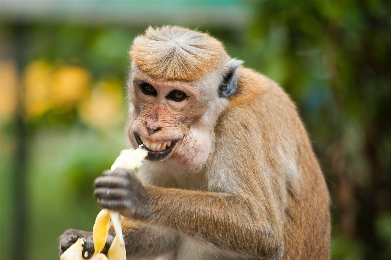 How do I reduce losses in investing? Take losses and profits. Don't be a monkey. - Get Irked