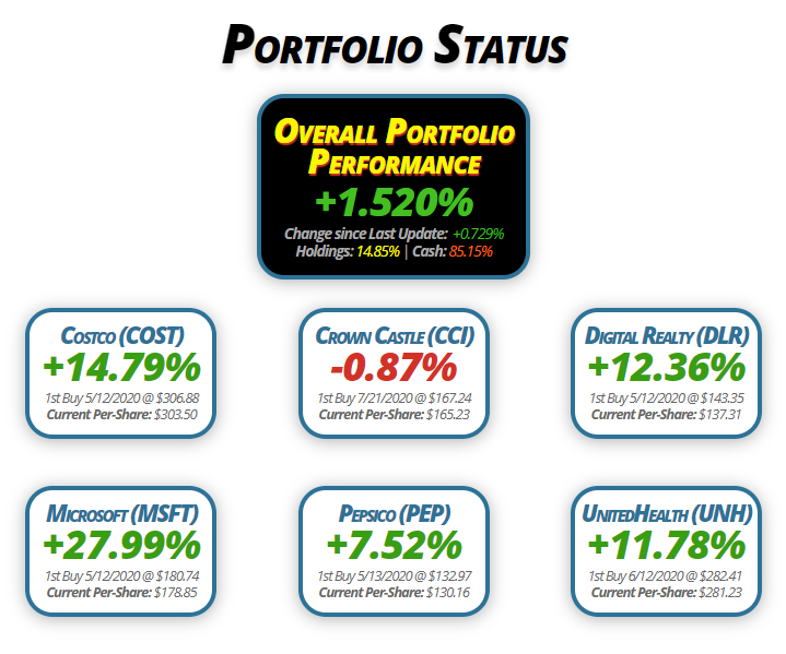 Pandemic Portfolio #3